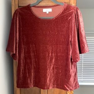 Madewell texture and thread velvet top